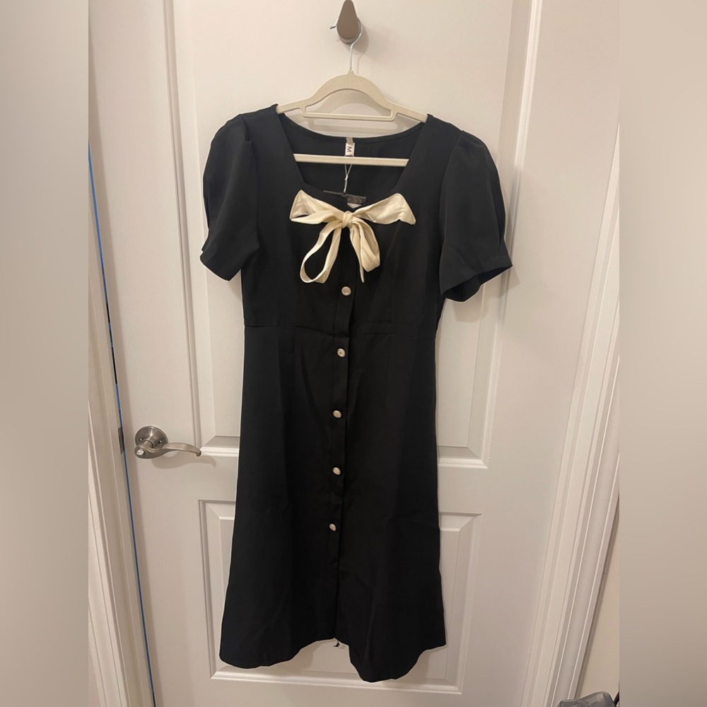 New Professional, Formal Dress